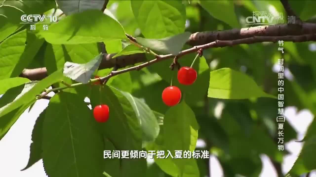 暂无首图